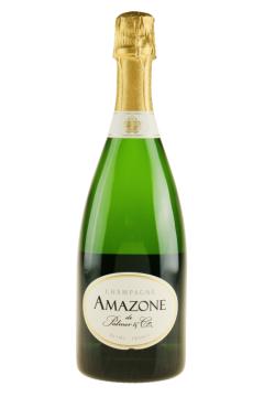 Palmer & Co Amazone - Champagne
